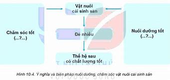 Công Nghệ 7 Kntt Bài 10