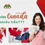 Gia Hạn Visa Canada Bao Nhiều Tiền Việt Nam Mới Nhất