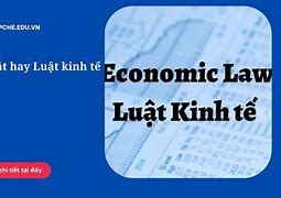 Nên Học Luật Nào