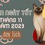 Ngày 25 Tháng 11 Năm 2023 Âm Lịch Là Ngày Gì