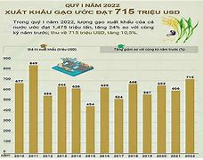 Việt Nam Xuất Khẩu Gạo Thứ Mấy Thế Giới 2023