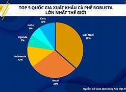 Xuất Khẩu Sang Tây Của Mỹ Tại Việt Nam 2024 Mới Nhất